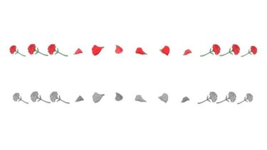 カーネーションの飾り罫線①（横）のイラスト（カラー・モノクロ）