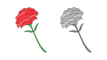 カーネーションのカットイラスト①（カラー・モノクロ）