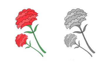 カーネーションのカットイラスト②（カラー・モノクロ）