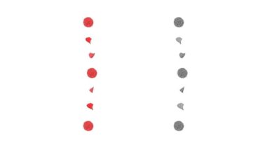 カーネーションの飾り罫線②（縦）のイラスト（カラー・モノクロ）
