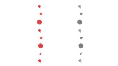 カーネーションの飾り罫線①（縦）のイラスト（カラー・モノクロ）