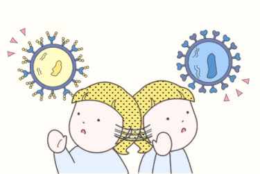 【子育て・親育て】~2025-2026シーズン~ 今年のインフルエンザ状況  サブクレードKってなに！？②